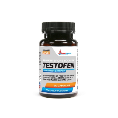  WestPharm Testofen 500  60 